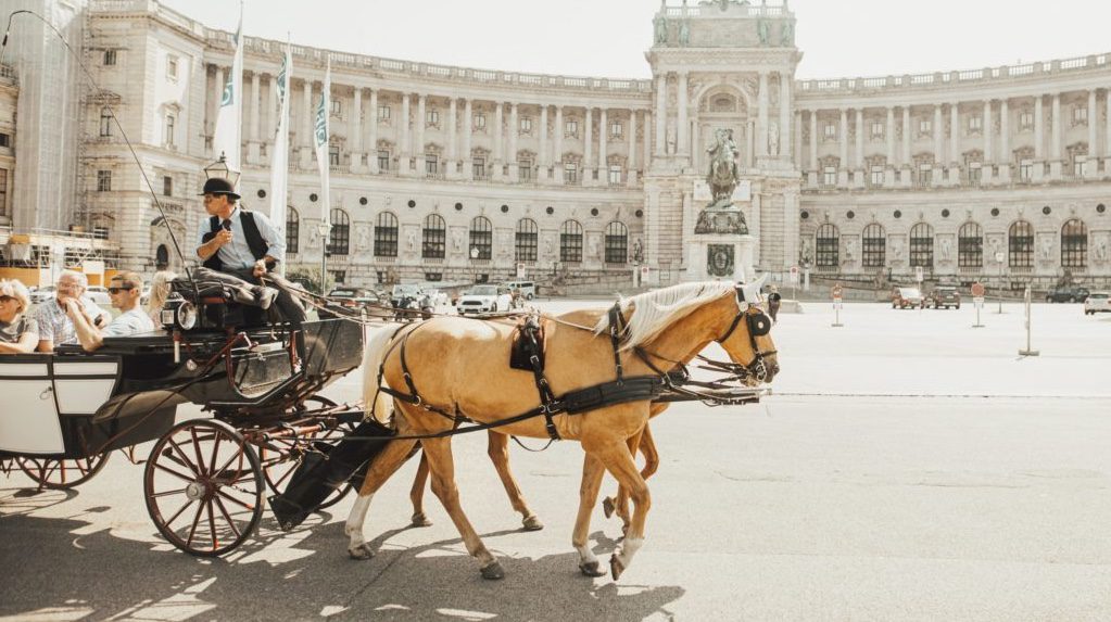 sandro-gonzalez-MgiCmxjbCQg-unsplash-scaled-e1670055668430-1024x716 sandro-gonzalez-MgiCmxjbCQg-unsplash-scaled-e1670055668430-1024x716